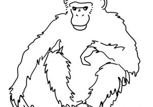 Coloriage Gratuit Gorille Coloriage Singe Afrique Jecolorie