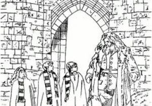Coloriage Gratuit Harry Potter Imprimer 67 Meilleures Images Du Tableau Coloriages Harry Potter