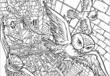 Coloriage Gratuit Harry Potter Imprimer Coloriages   Imprimer Harry Potter