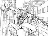 Coloriage Gratuit Spiderman à Imprimer 104 Meilleures Images Du Tableau Batman Spiderman Superman