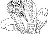 Coloriage Gratuit Spiderman à Imprimer Coloriage Spider Man Filename Coloring Page Ubiquitytheatre