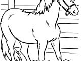 Coloriage Gulli Fr Coloriages Animaux Chevaux Cheval Coloriage Gulli Cheval Coloriages Imprimer