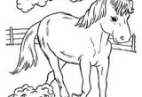 Coloriage Gulli Fr Coloriages Animaux Chevaux Cheval Coloriage Gulli Cheval Coloriages Imprimer