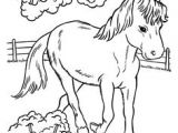 Coloriage Gulli Fr Coloriages Animaux Chevaux Cheval Coloriage Gulli Cheval Coloriages Imprimer