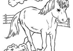 Coloriage Gulli Fr Coloriages Animaux Chevaux Cheval Coloriage Gulli Cheval Coloriages Imprimer
