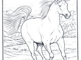Coloriage Gulli Fr Coloriages Animaux Chevaux Cheval Dessin Cheval Galop