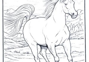 Coloriage Gulli Fr Coloriages Animaux Chevaux Cheval Dessin Cheval Galop