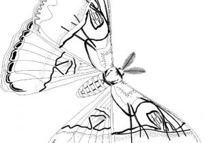 Coloriage Gymnastique Artistique 677 Best Blog Images On Pinterest