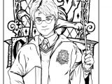 Coloriage Harry Potter 7 223 Best Coloriage Harry Potter Images by Nathalie Monio On