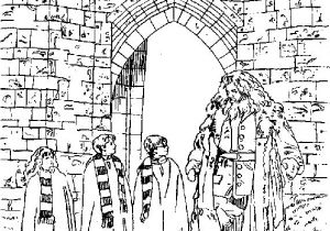 Coloriage Harry Potter 7 33 Best Fans D Harry Potter Images On Pinterest