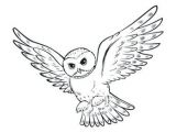 Coloriage Harry Potter Gryffondor Pin Auf Ð¥Ð¾Ð³Ð²Ð°ÑÑÑ