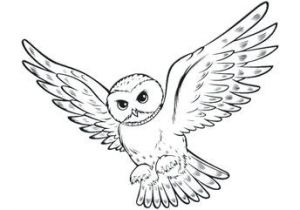 Coloriage Harry Potter Gryffondor Pin Auf Ð¥Ð¾Ð³Ð²Ð°ÑÑÑ