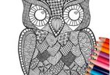 Coloriage Hiboux A Imprimer â Mes Pages De Coloriage