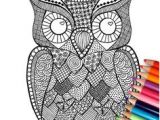 Coloriage Hiboux A Imprimer â Mes Pages De Coloriage