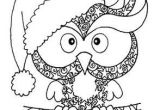 Coloriage Hiboux A Imprimer Chouette De No L