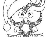 Coloriage Hiboux A Imprimer Chouette De No L