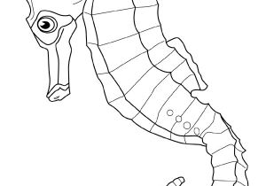 Coloriage Hippocampe A Imprimer Hippocampe 4 Animaux – Coloriages à Imprimer