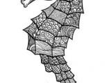 Coloriage Hippocampe à Imprimer Mandala Cp