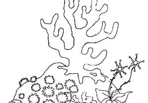 Coloriage Imprimer Gratuit Fond Marin Coloriage Fond Marin – Didacticaaplicatafo