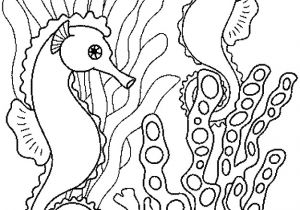 Coloriage Imprimer Gratuit Fond Marin Coloriage Les Animaux Les Beaux Dessins De Meilleurs Dessins  