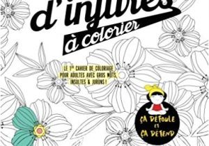 Coloriage Insulte Amazon Mon Cahier D Injures   Colorier Le Premier Cahier De
