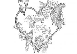 Coloriage Insulte Besoin De Vous Défouler Essayez Le Nouveau Cahier D Injures  