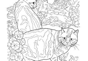 Coloriage Intelligent 228 Best Coloriage Chat Images On Pinterest