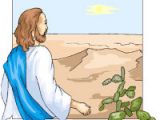 Coloriage Jésus Au Désert Eveil A La Foi Celebrations Février 2011
