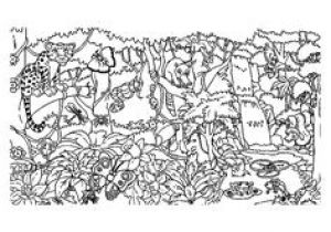 Coloriage Jungle à Imprimer 77 Meilleures Images Du Tableau Coloriages