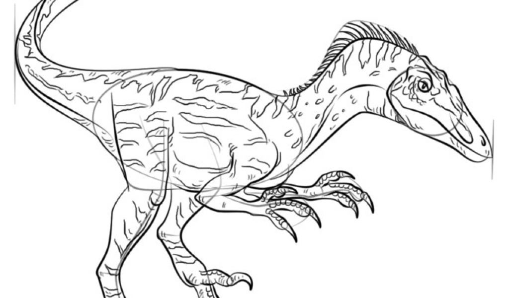 Coloriage Jurassic World Mosasaurus Jurassic World Mosasaurus Coloring