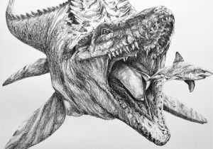 Coloriage Jurassic World Mosasaurus Mosasaurus 50×40 Cm Pencil Made In Mission Coloriage Jurassic World Mosasaurus Mosasaurus 50×40 Cm Pencil Made In Mission