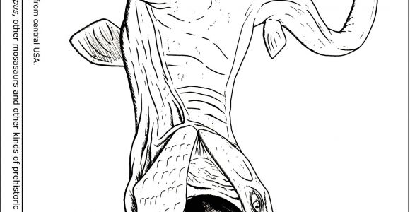 Coloriage Jurassic World Mosasaurus Mosasaurus Jurassic World Coloring Pages Sketch Coloring Page
