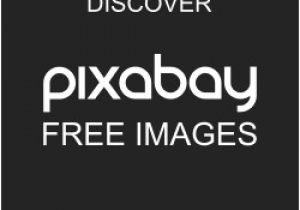 Coloriage Kirikou Et La sorcière Gratis Foto Meisje Pet T Shirt Tekening Gratis Afbeelding Op Pixabay