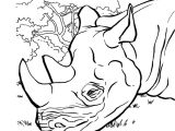 Coloriage Kung Fu Panda à Imprimer Jeux De T Choupi Et Doudou Az Coloriage