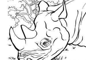 Coloriage Kung Fu Panda à Imprimer Jeux De T Choupi Et Doudou Az Coloriage