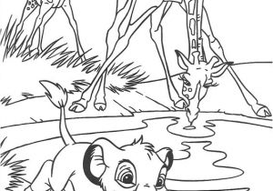 Coloriage La Garde Du Roi Lion Kion Index Of Images Coloriage Le Roi Lion