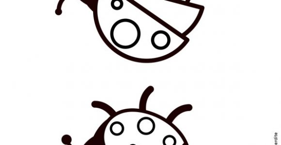 Coloriage La Haut Deux Images Vue D En Haut De Deux Coccinelles   Colorier