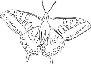 Coloriage La Nature Au Printemps Coloriage La Nature Au Printemps