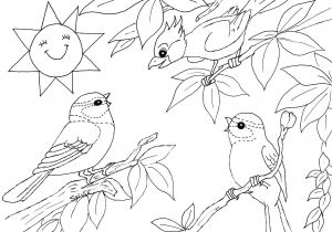 Coloriage La Nature Au Printemps Pin Coloriage Paysage Printemps A Imprimer Gratuit On