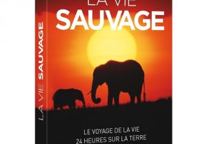 Coloriage L'age De Glace 3 Bbc Earth La Vie Sauvage Le Voyage De La Vie 24 Heures Sur Dvd