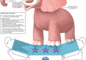 Coloriage Lapin Crètin A Imprimer Kidadoweb Elephant 13471732