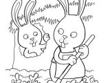 Coloriage Lapin Nain 110 Best Coloriage Du Potager Images On Pinterest
