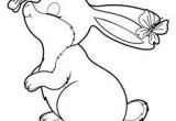 Coloriage Lapinoo Lapin Et Papillon Enfants Pinterest
