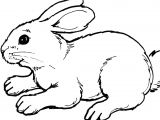 Coloriage Lapins à Imprimer 128 Dessins De Coloriage Lapin à Imprimer Sur Laguerche
