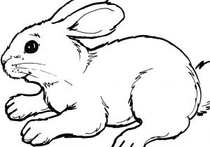 Coloriage Lapins à Imprimer 128 Dessins De Coloriage Lapin à Imprimer Sur Laguerche