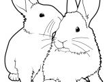 Coloriage Lapins à Imprimer 131 Dessins De Coloriage Lapin à Imprimer