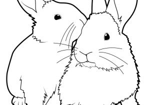 Coloriage Lapins à Imprimer 131 Dessins De Coloriage Lapin à Imprimer