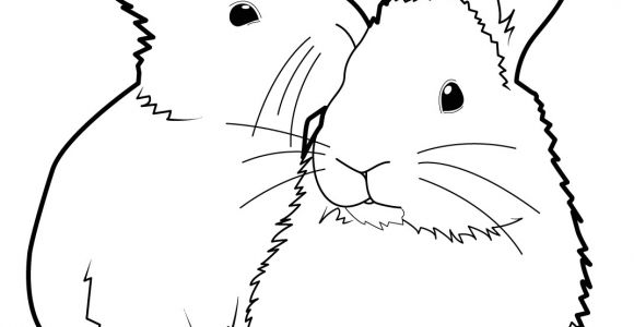 Coloriage Lapins à Imprimer 131 Dessins De Coloriage Lapin à Imprimer
