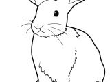 Coloriage Lapins à Imprimer Apprendre Dessiner Un Lapin