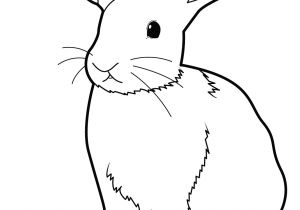Coloriage Lapins à Imprimer Apprendre Dessiner Un Lapin